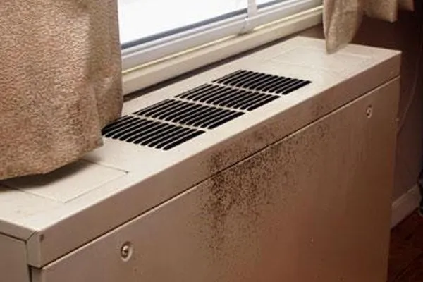 housing disrepair claim