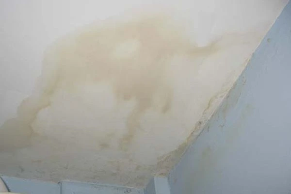 housing disrepair claim