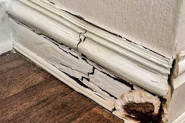 housing disrepair claim