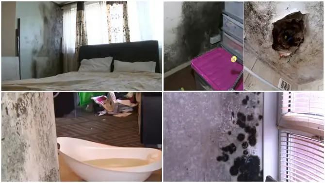 Toddler killed by mould at flat 'unfit for humans'