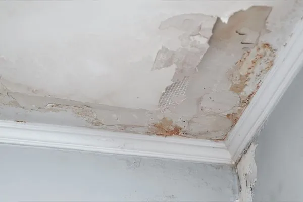 housing disrepair claim